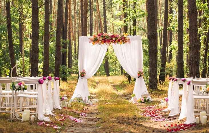 Outdoor Wedding Ideas on a Budget Stunning and Affordable Solutions for Your Dream Day